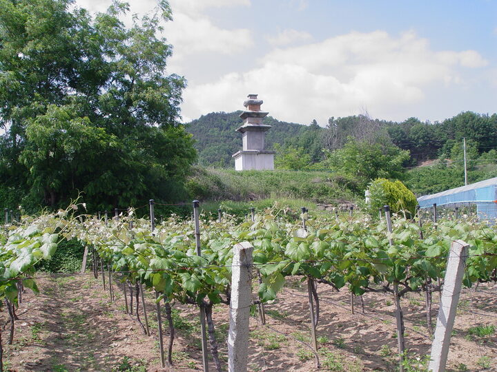 서부리 삼층석탑 전경