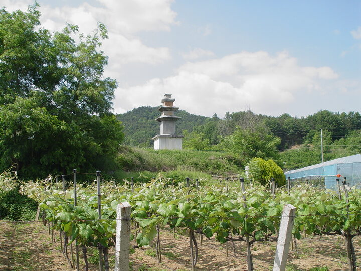 서부리 삼층석탑 전경1