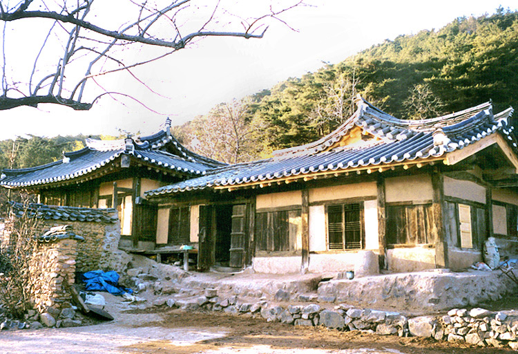 지족당
