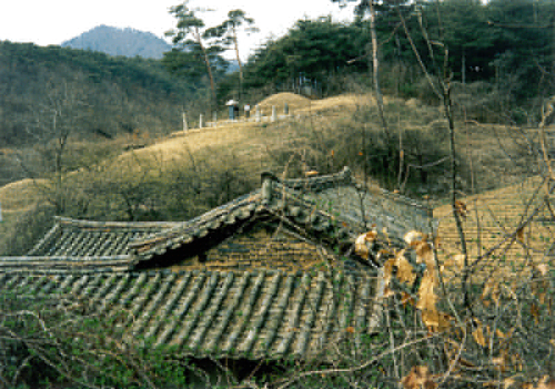 화재(우익사배면)