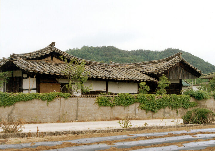 측면