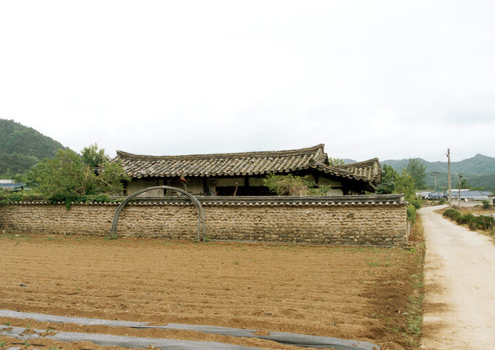 후면