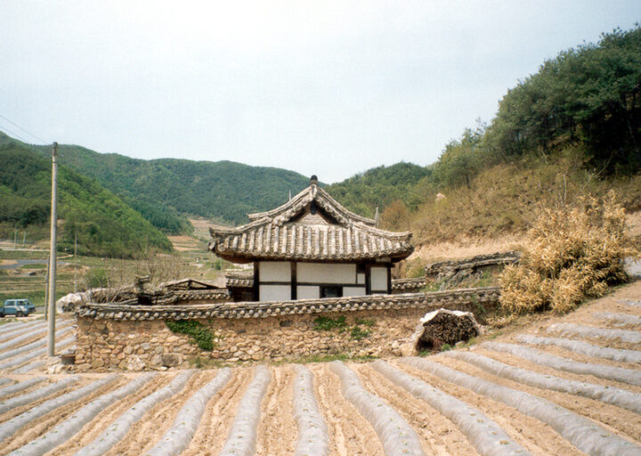 우측면