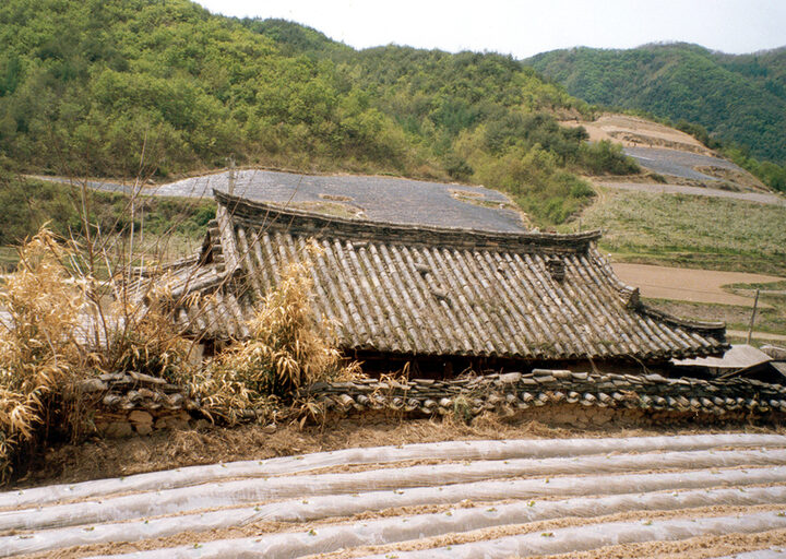 후면