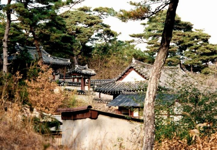 고산정전경