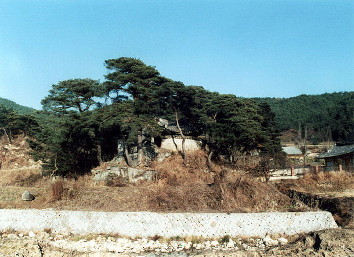 교수정원경