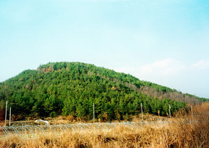 구진산성원경