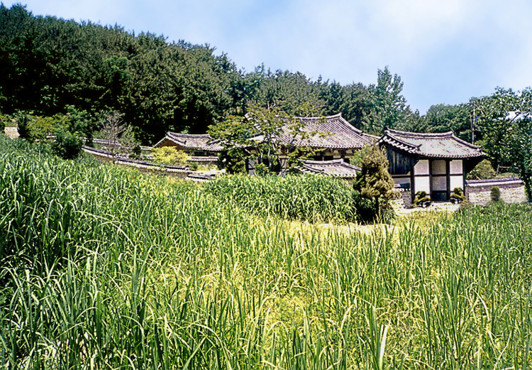 관술정전경