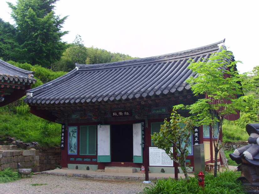 정면
