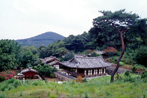 모선정