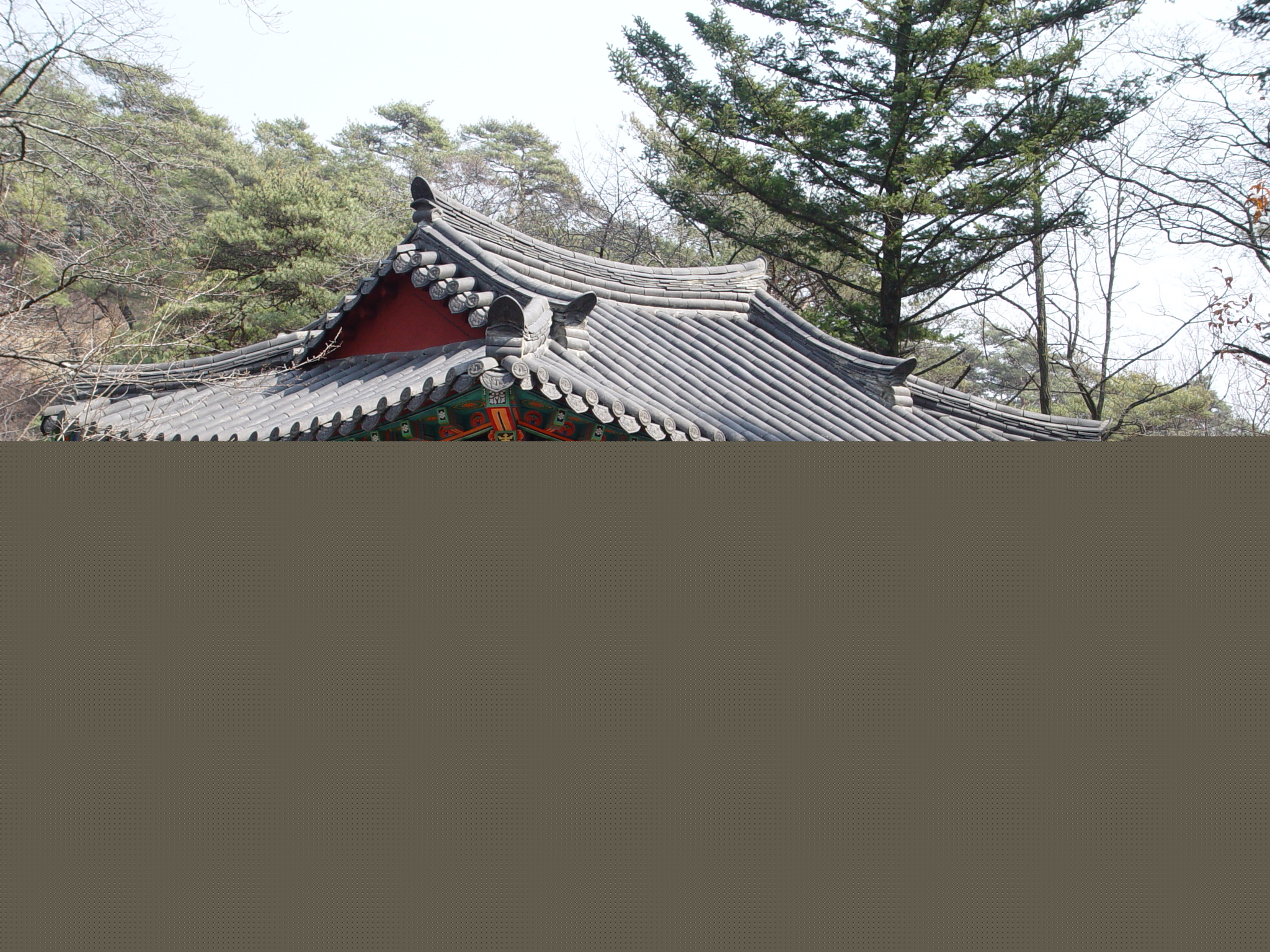 심원정 전경2