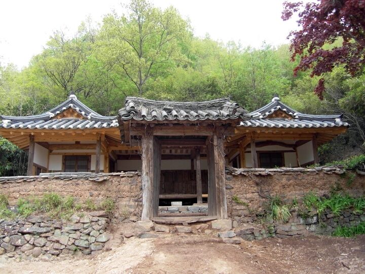 정면