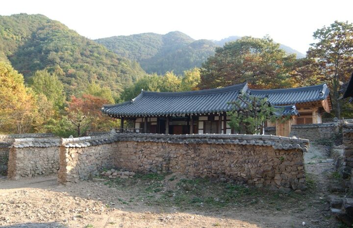 저존재 근경