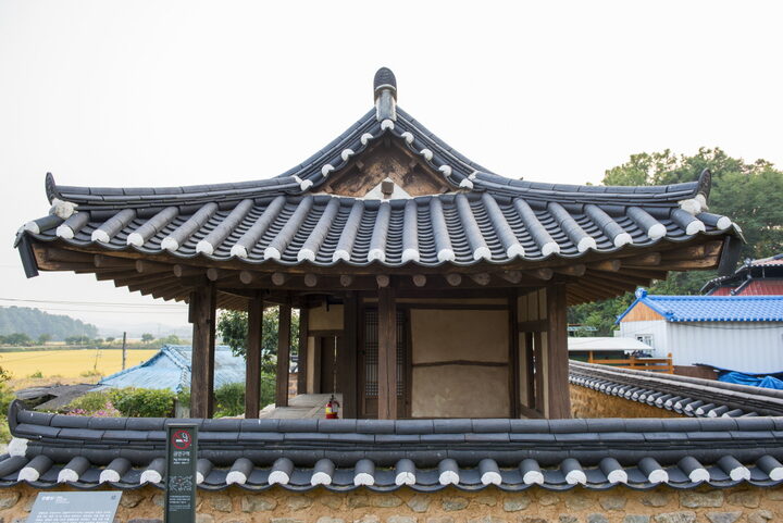 측면
