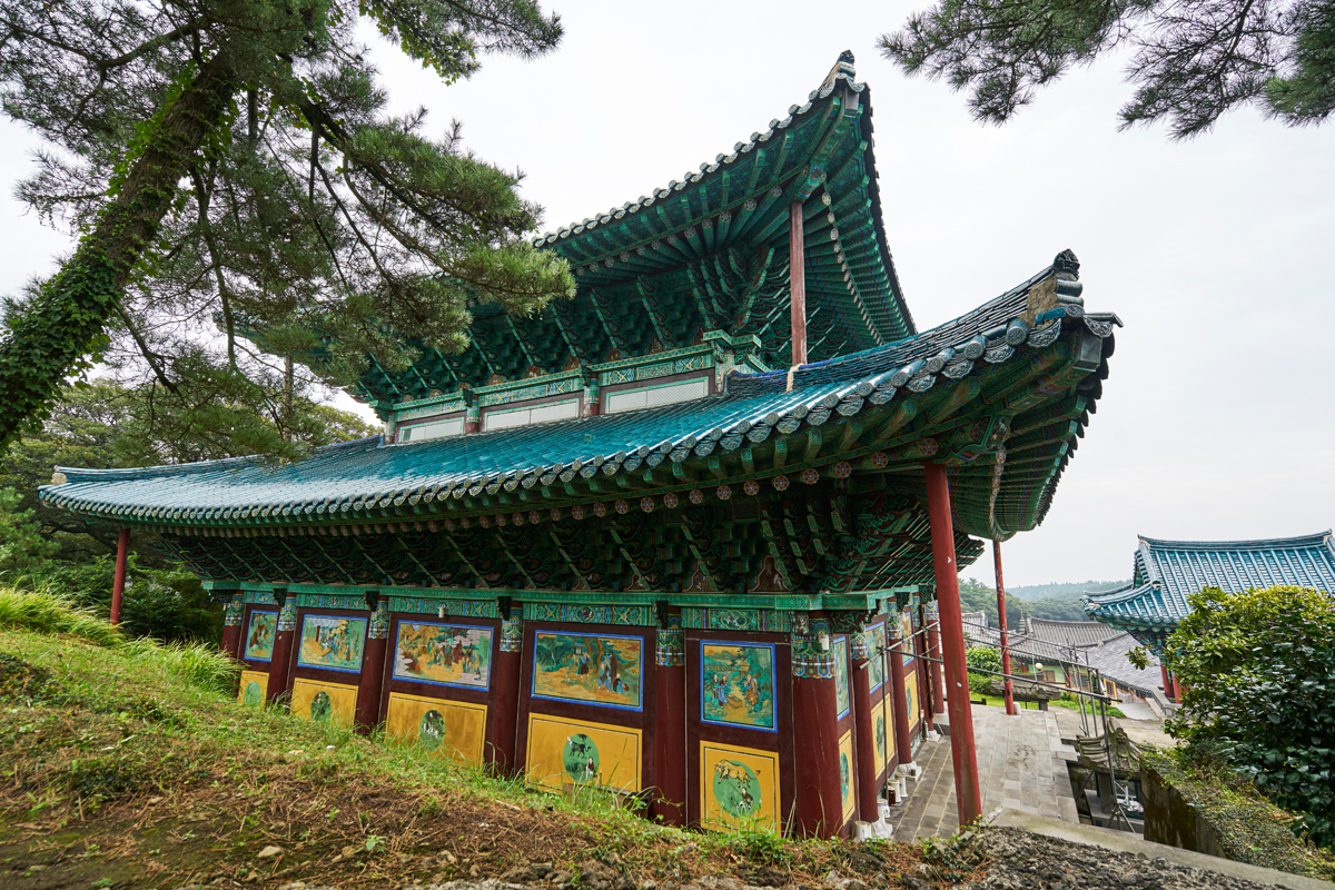 제주특별자치도 문화재자료 선덕사 대적광전_뒤-우측면02