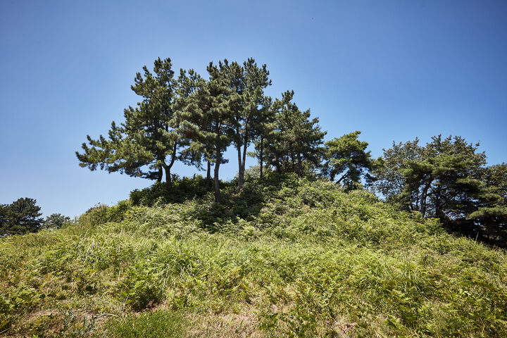 문화재자료 두릉산성(두릉이성)_성벽 근경02