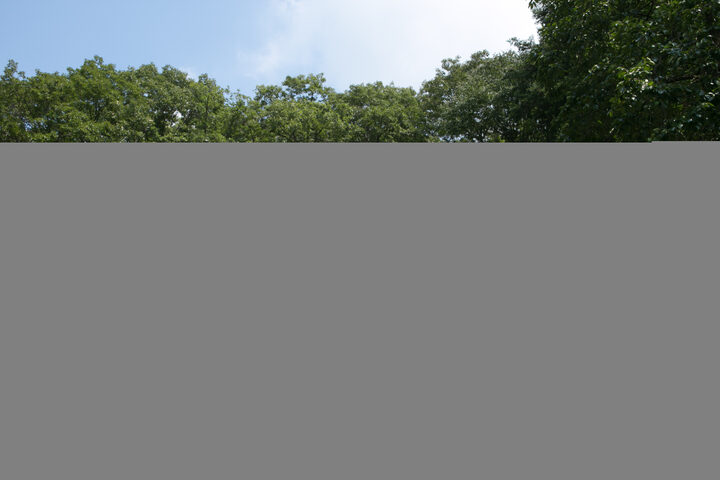 고성 운흥사 영산전_전경1 (촬영년도 : 2015년)