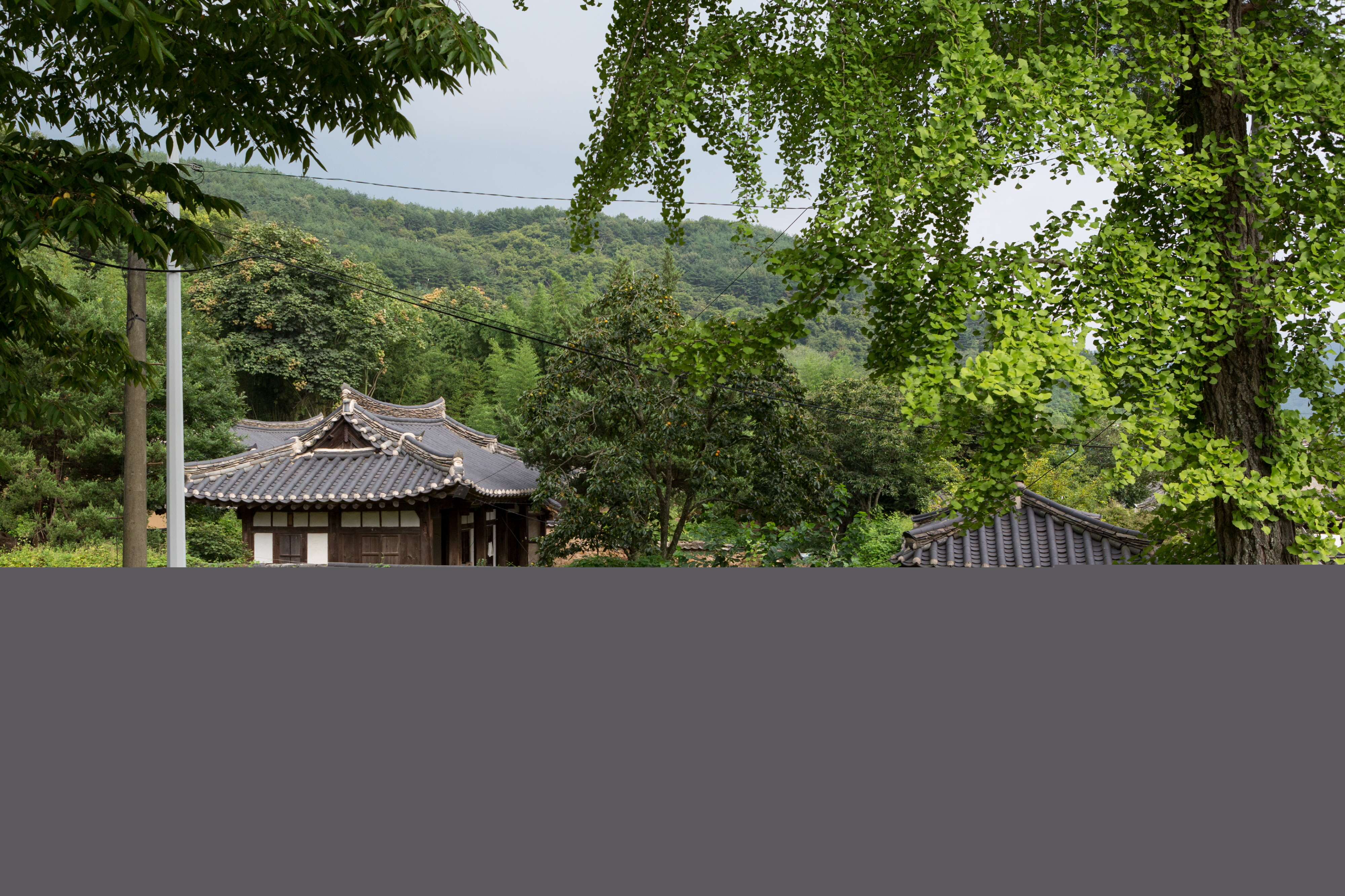 밀양다죽리손씨고가_전경 (촬영년도 : 2015년)
