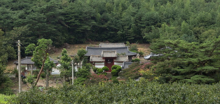 밀양 모선정_마을 입구에서 본 전경 (촬영년도 : 2015년)