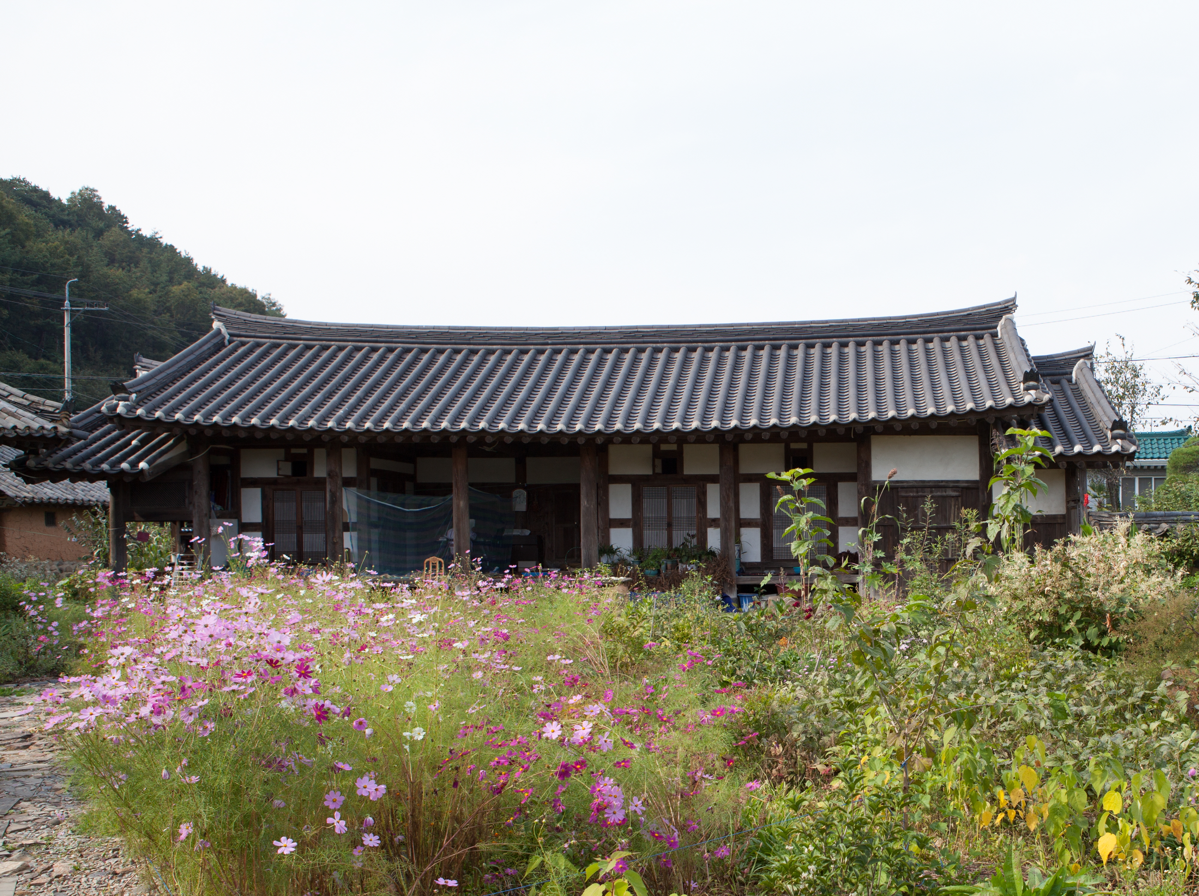 산청 박인현 고택_마당 전경 (촬영년도 : 2015년)