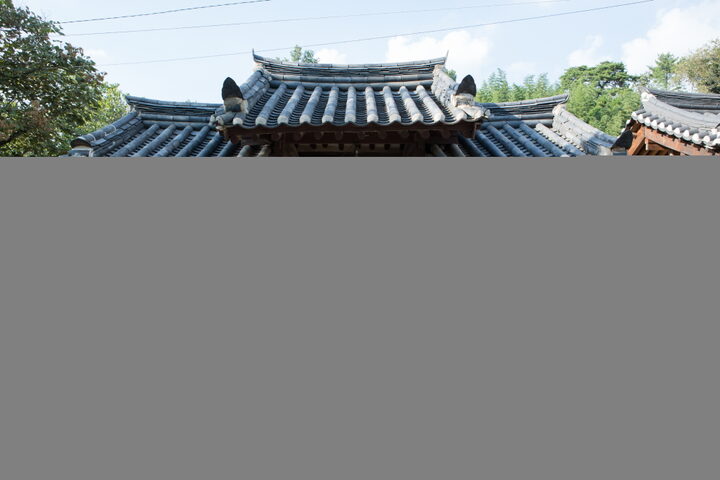 진주 마진리 이씨고가_솟을대문 (촬영년도 : 2015년)