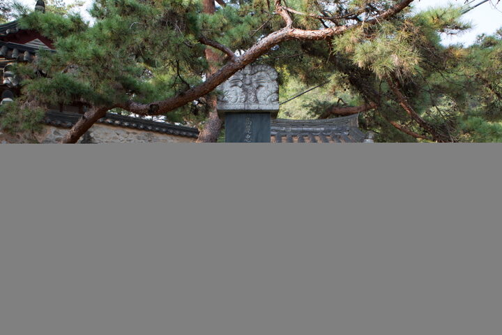 함양 교수정_비석 (촬영년도 : 2015년)