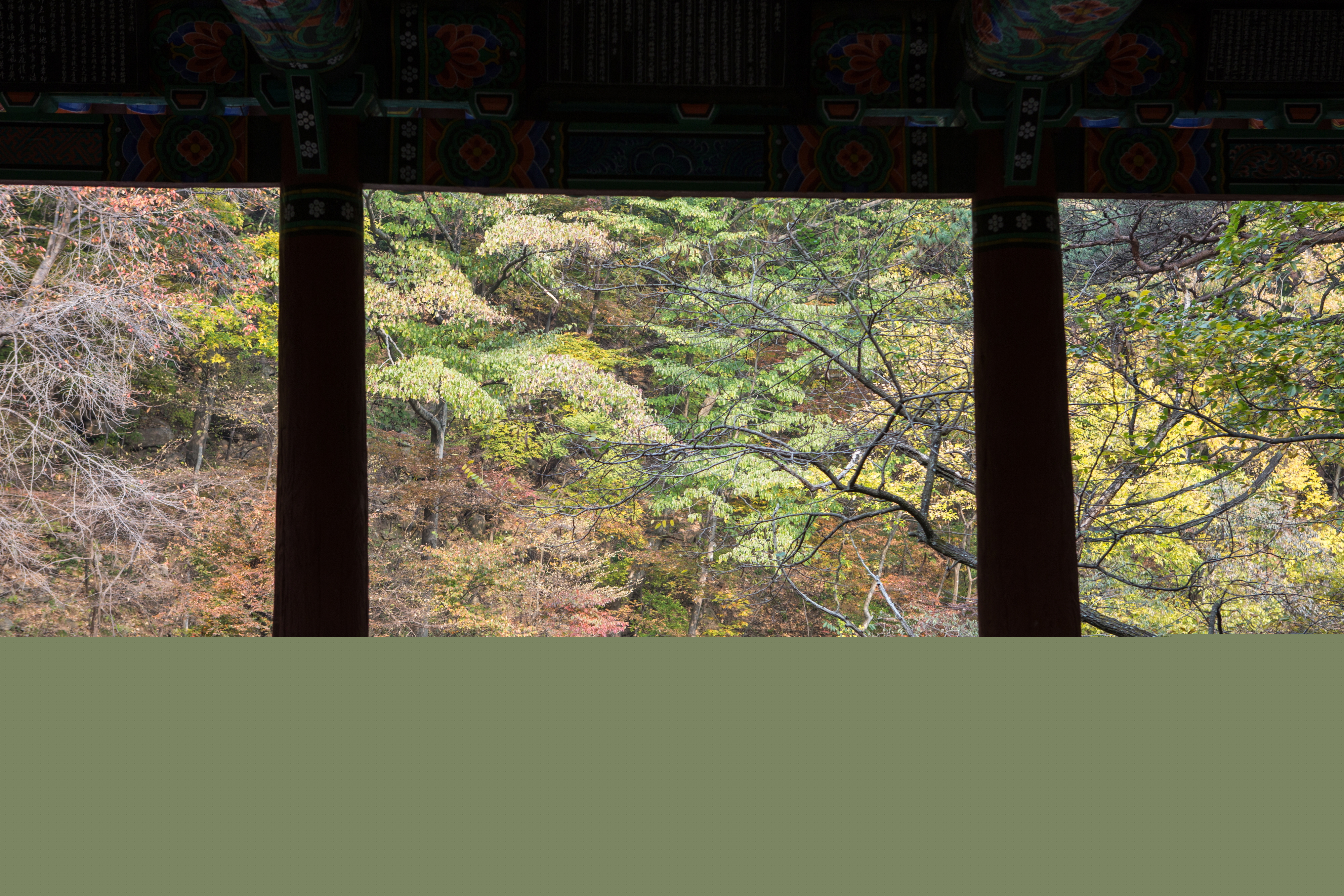 함양심원정_심원정에서 바라본 풍경 (촬영년도 : 2015년)
