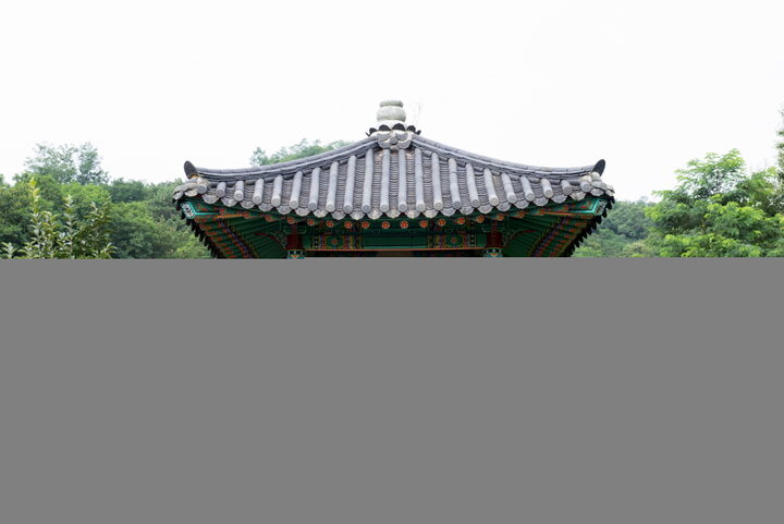금릉신안동석불입상_원경1 (촬영년도 : 2015년)