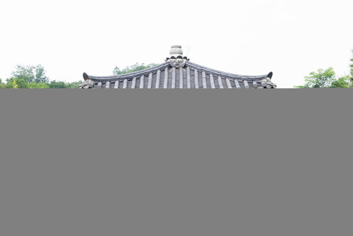 금릉신안동석불입상_원경 (촬영년도 : 2015년)