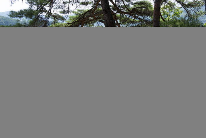 오봉종택_뒷산에서 본 종택 뒷모습 (촬영년도 : 2015년)