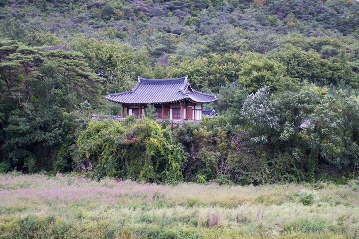 영귀정_원경 (촬영년도 : 2015년)