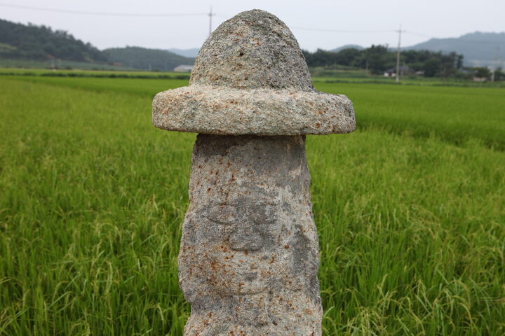 무안발산마을미륵당산_4 (촬영년도 : 2015년)