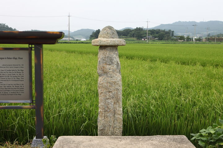 무안발산마을미륵당산_5 (촬영년도 : 2015년)