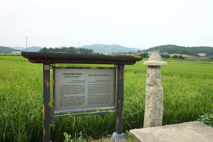 무안발산마을미륵당산_6 (촬영년도 : 2015년)