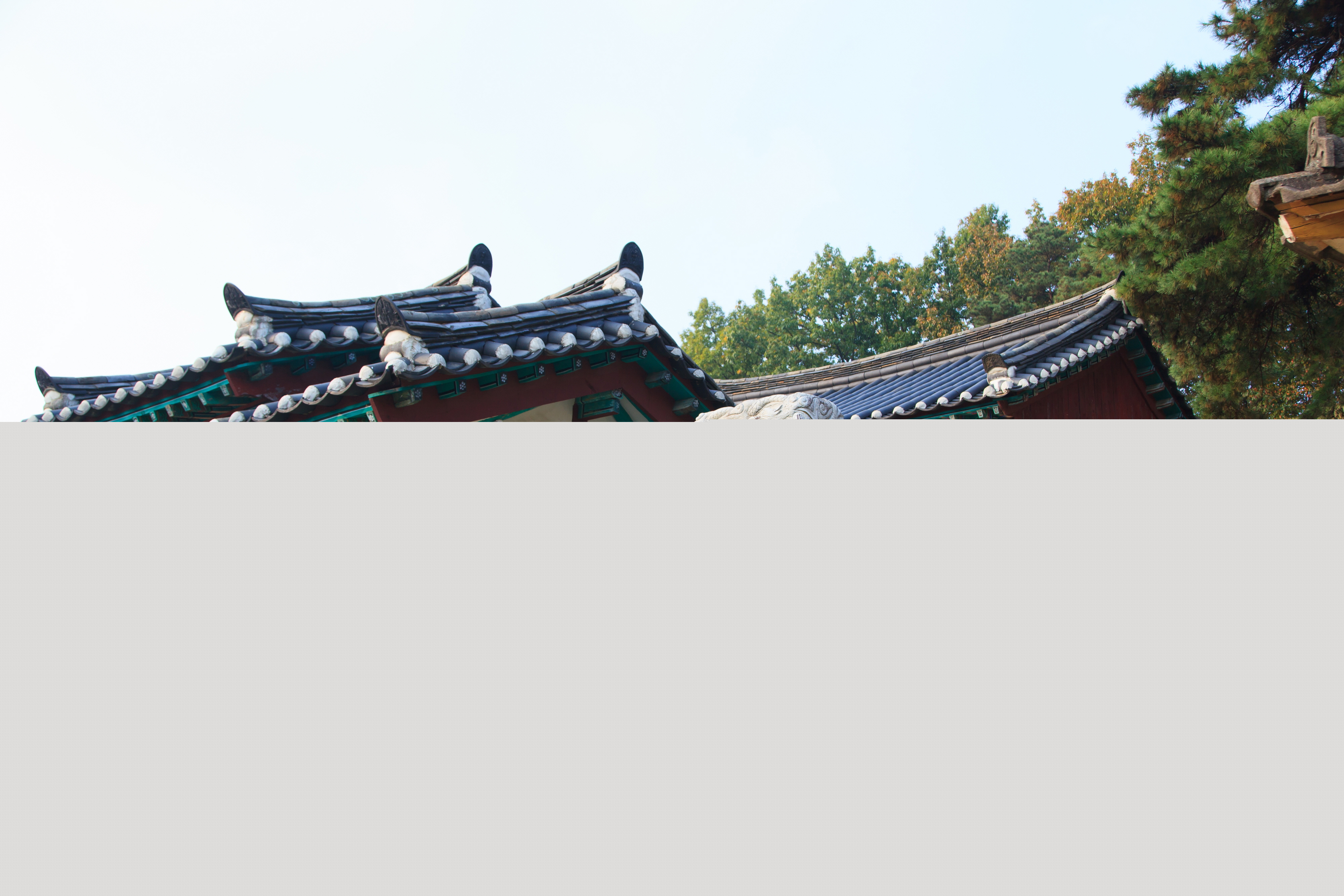 충절사_신도비와 삼문 (촬영년도 : 2015년)