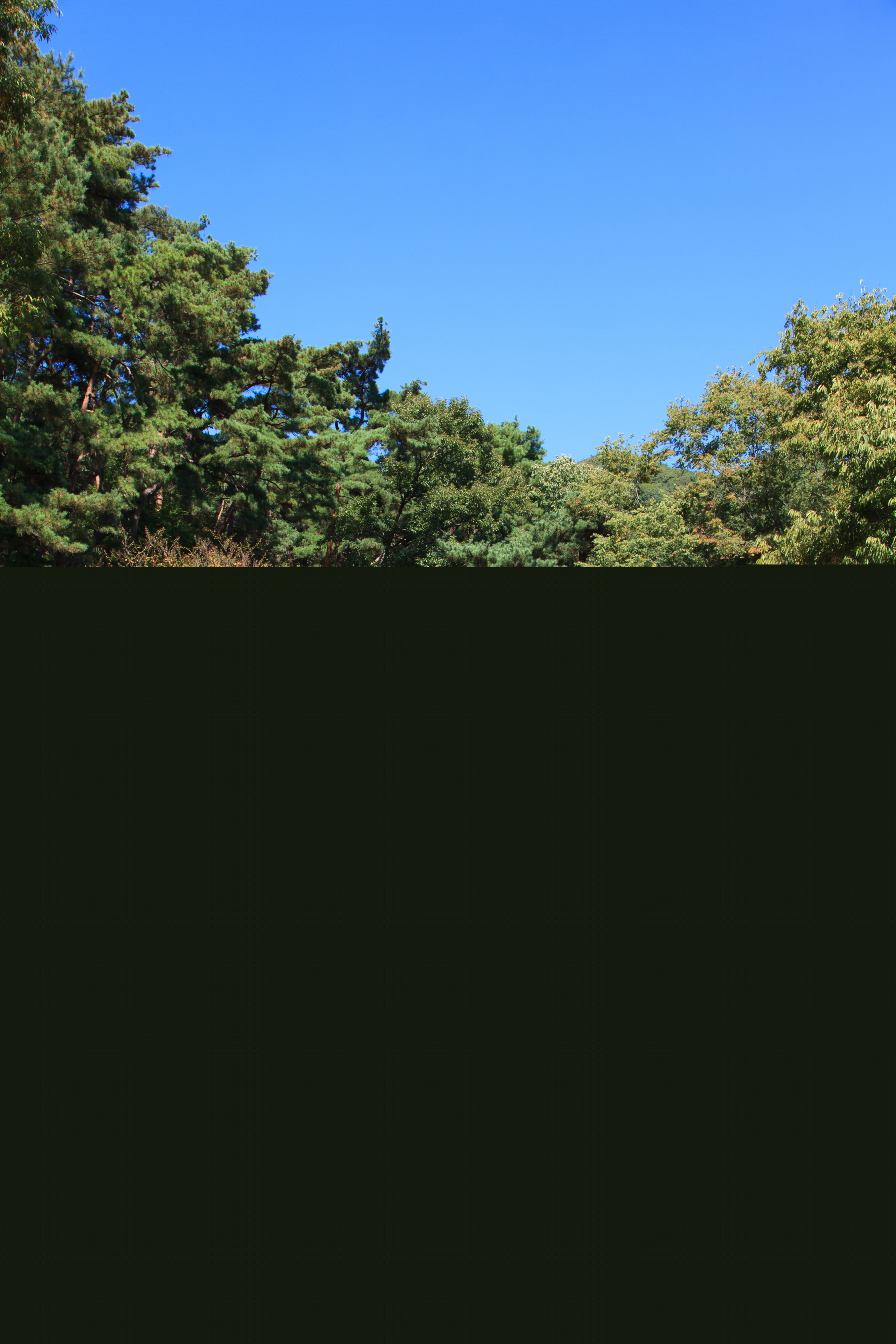향천사천불전_전경2 (촬영년도 : 2015년)