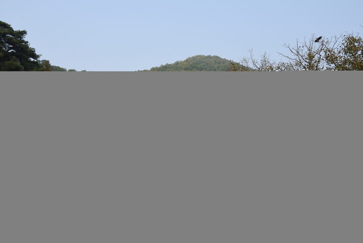 옥천 영모재_4 (촬영년도 : 2015년)