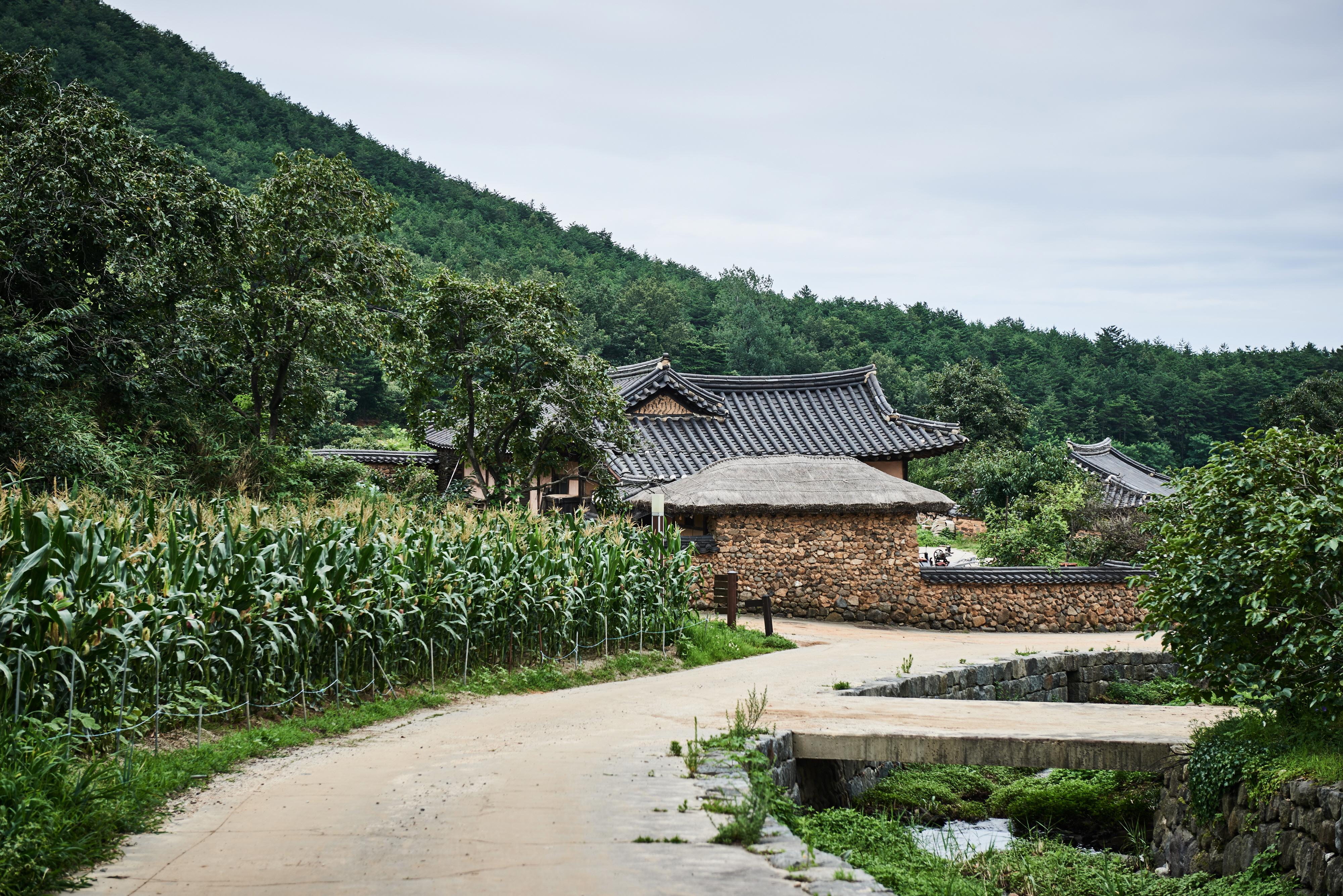 고성함정균고택_전경 (촬영년도 : 2016년)