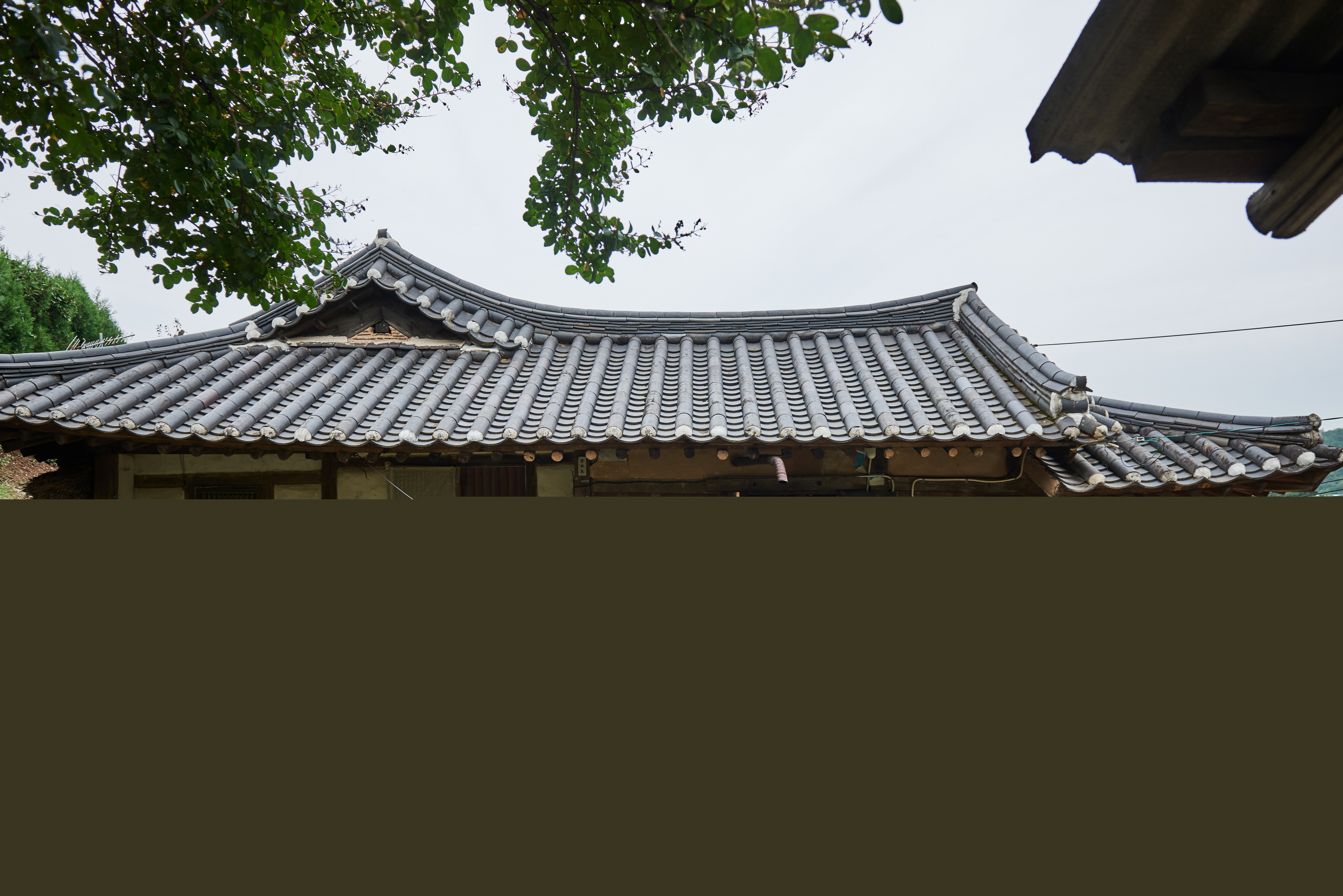 삼척 고천리 고택_정면 (촬영년도 : 2016년)