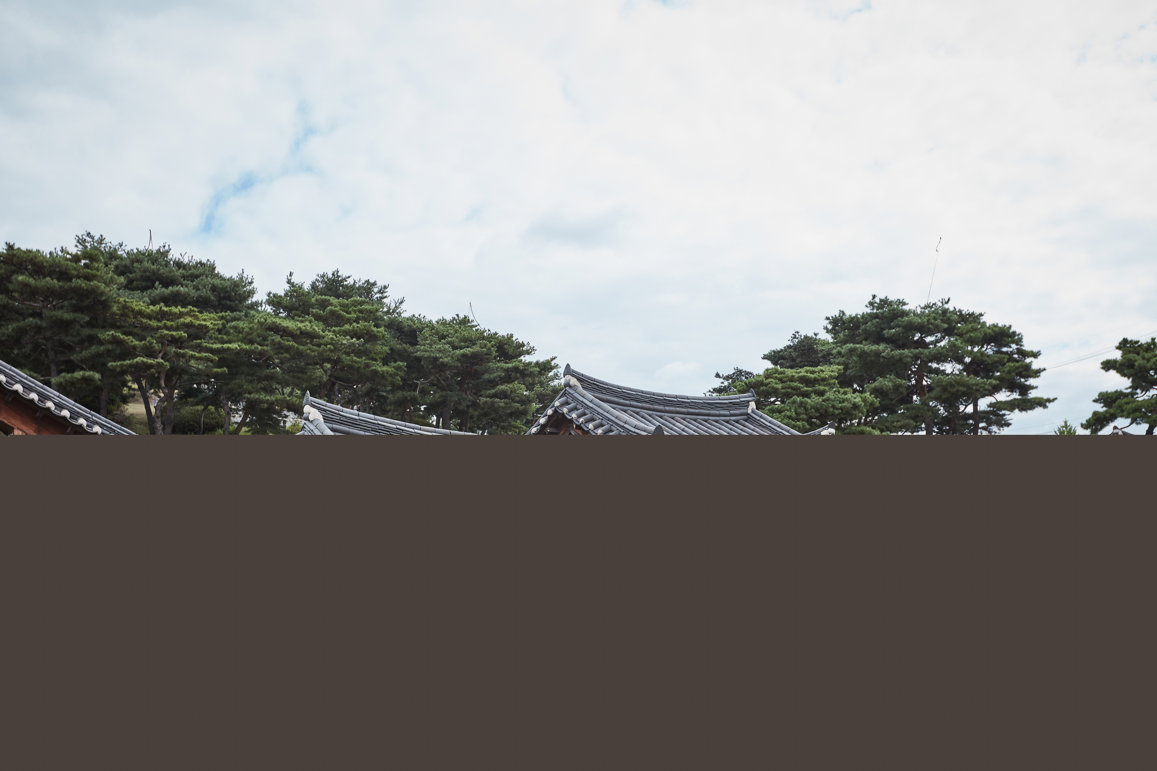 수정재