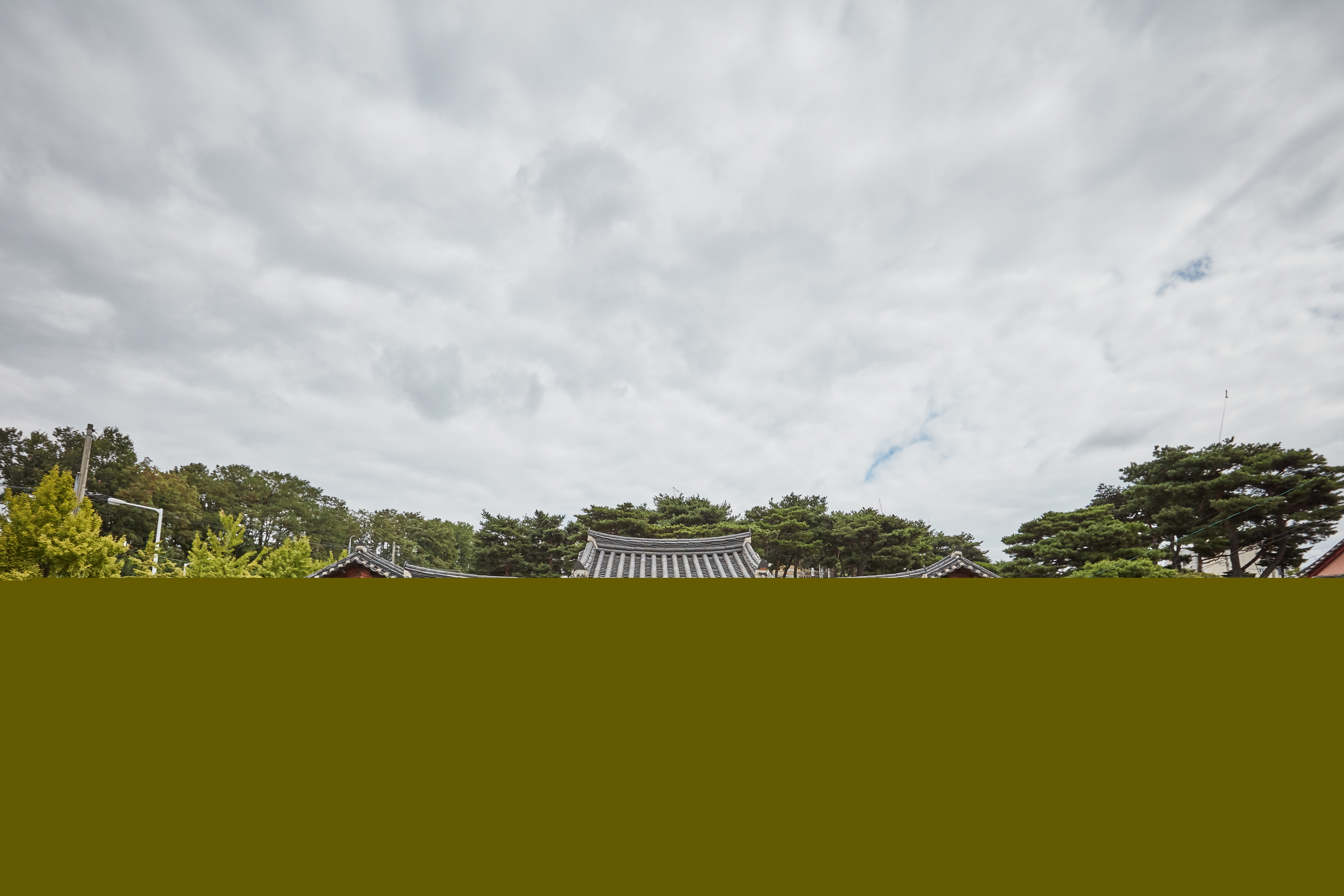 수정재