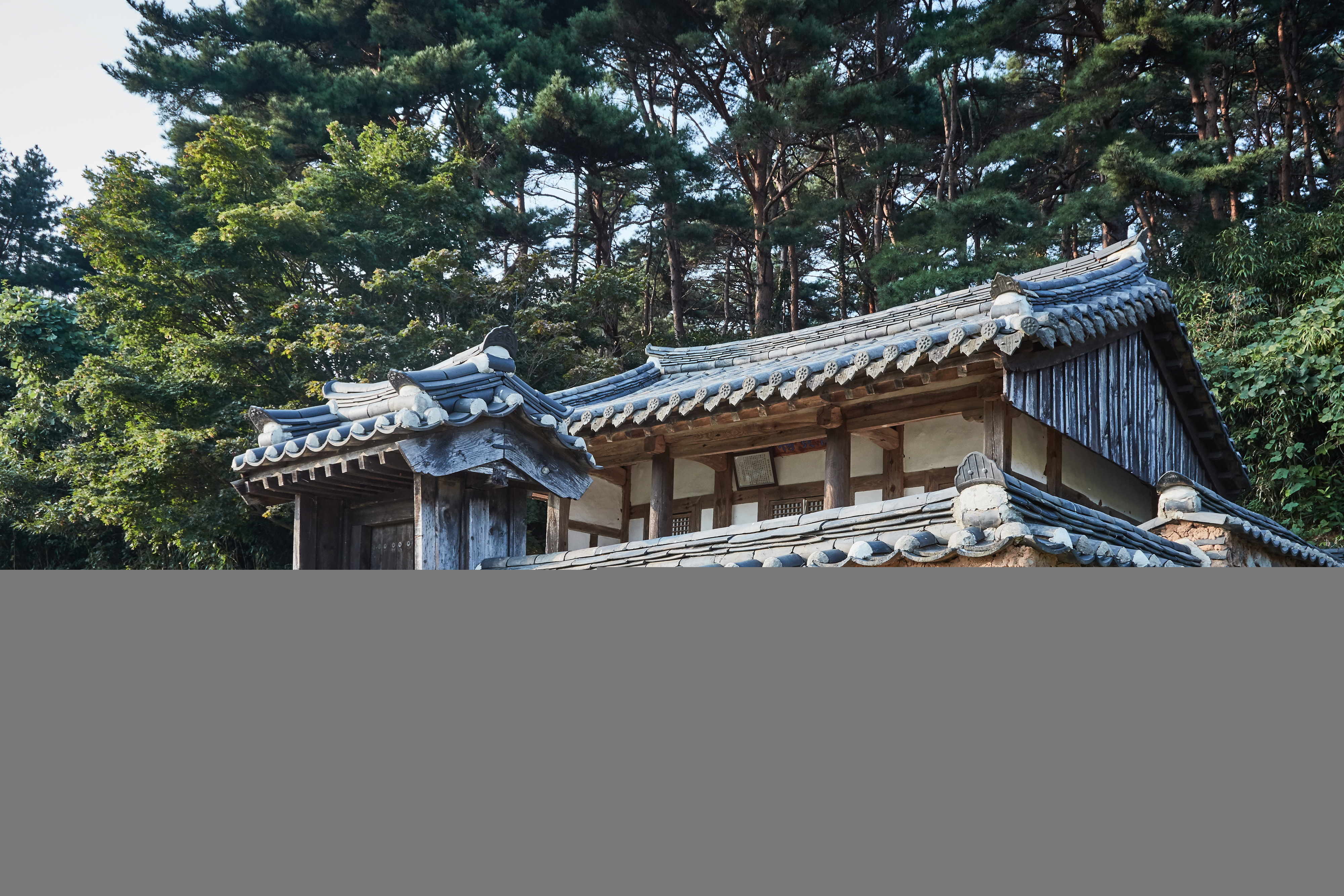 광성부원군 사우