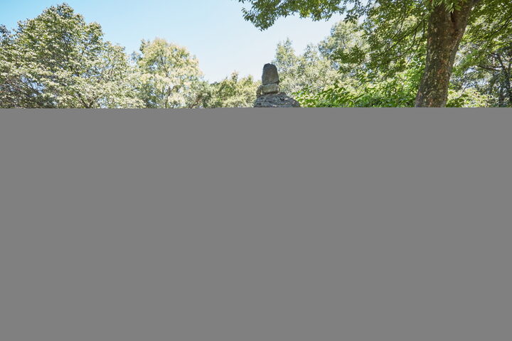 두릉산성(두릉이성)