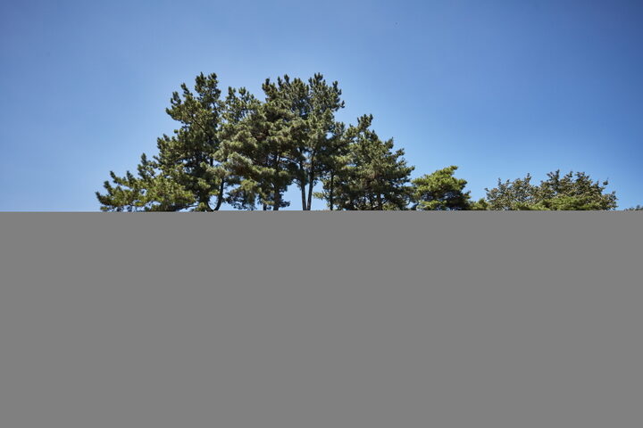 두릉산성(두릉이성)