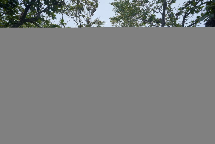 성거산성