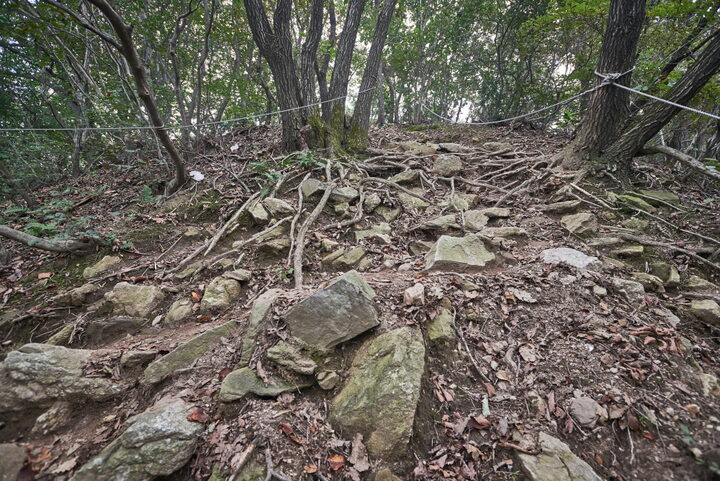 성거산성