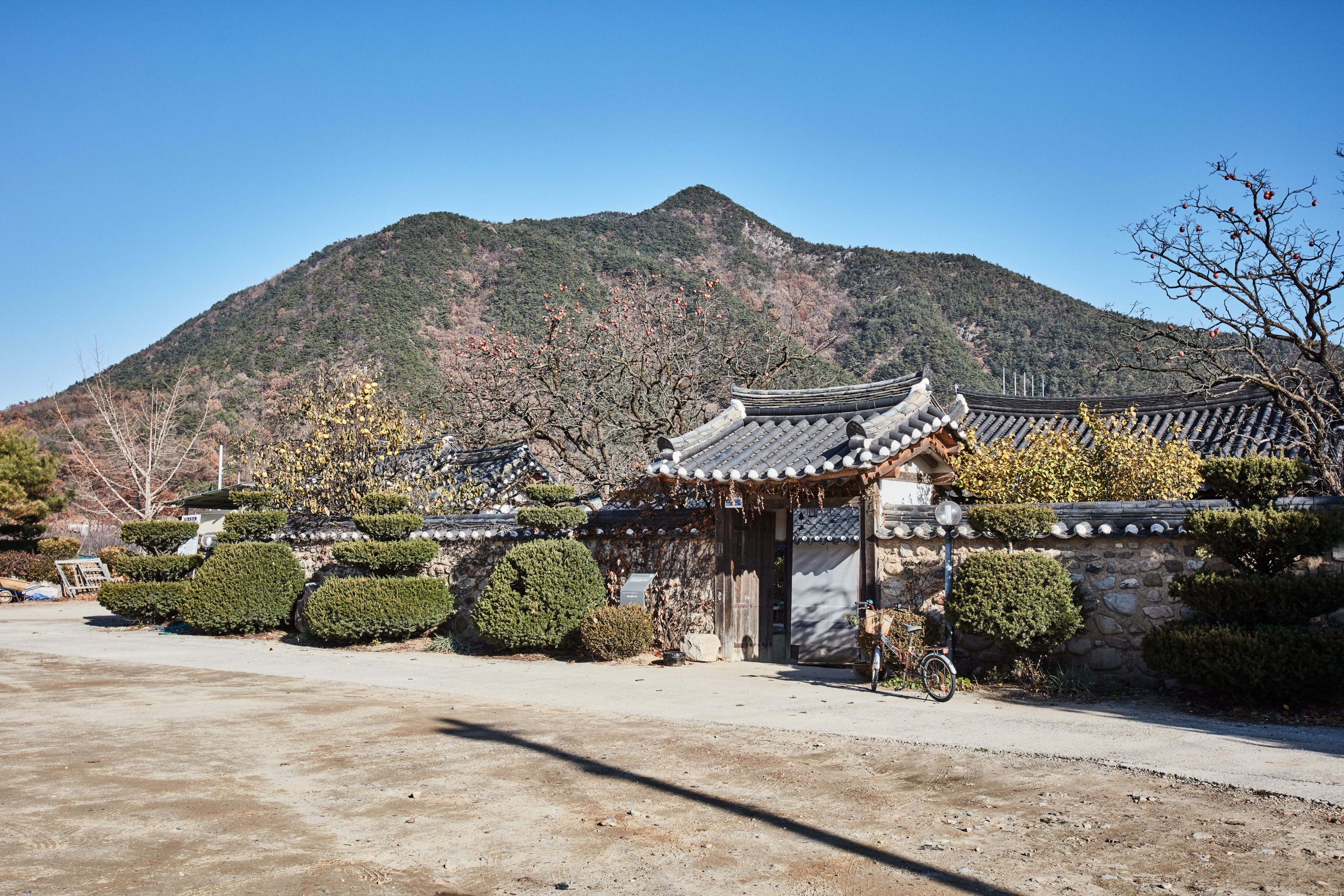 보은 선병우 고가