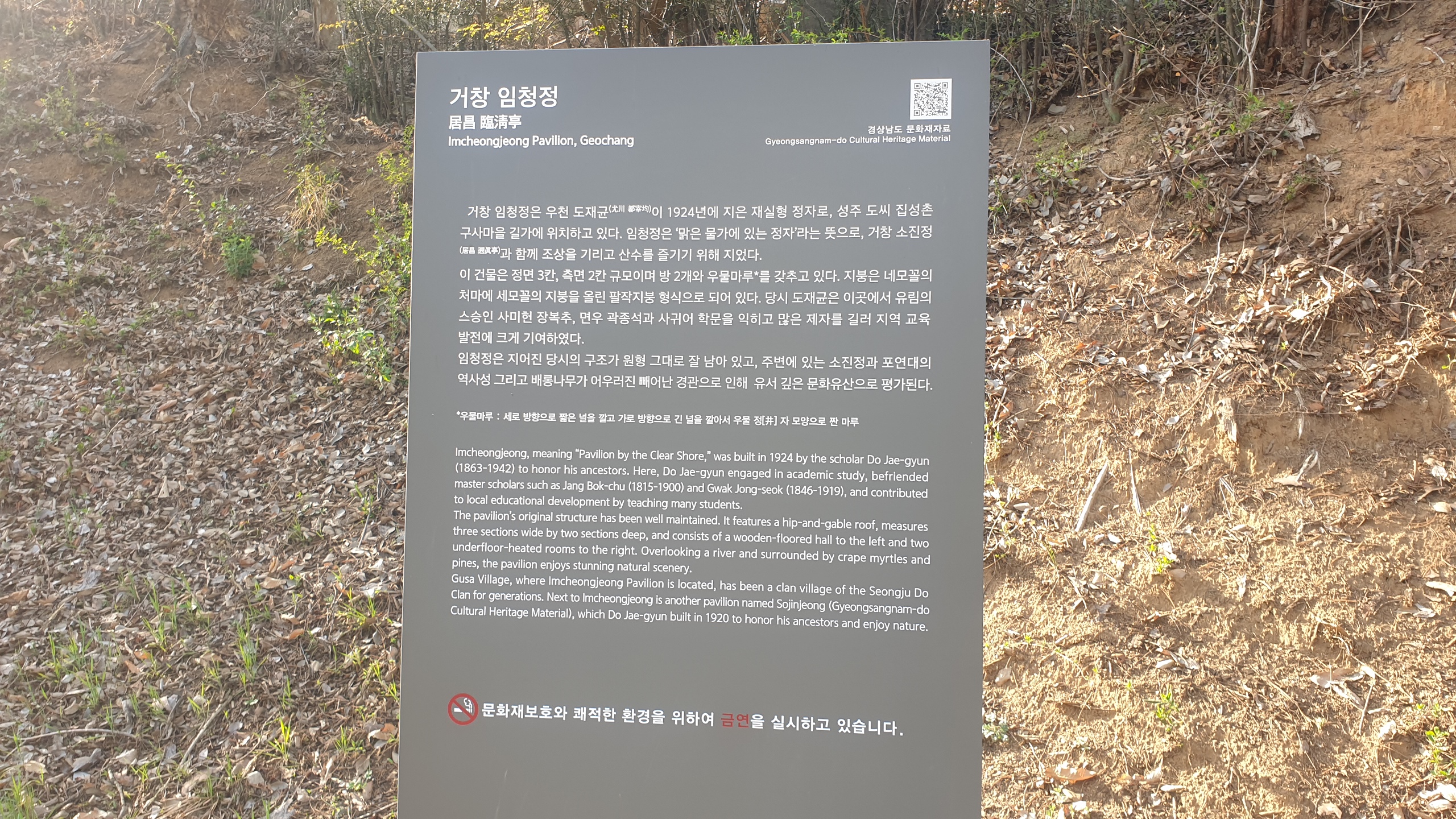 임청정