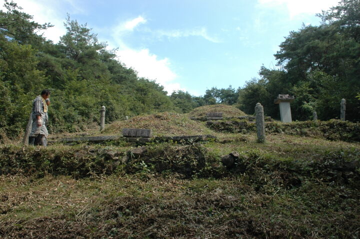 진주 박세항 묘