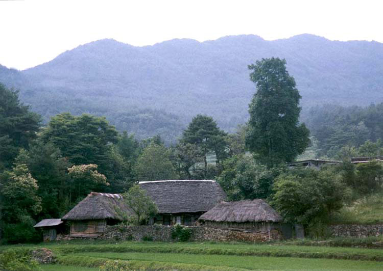 덕치리초가(전경)